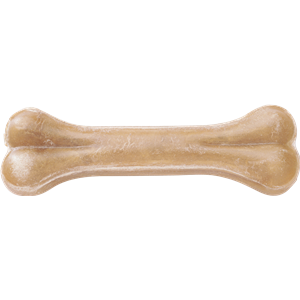 Bone PNG-46829